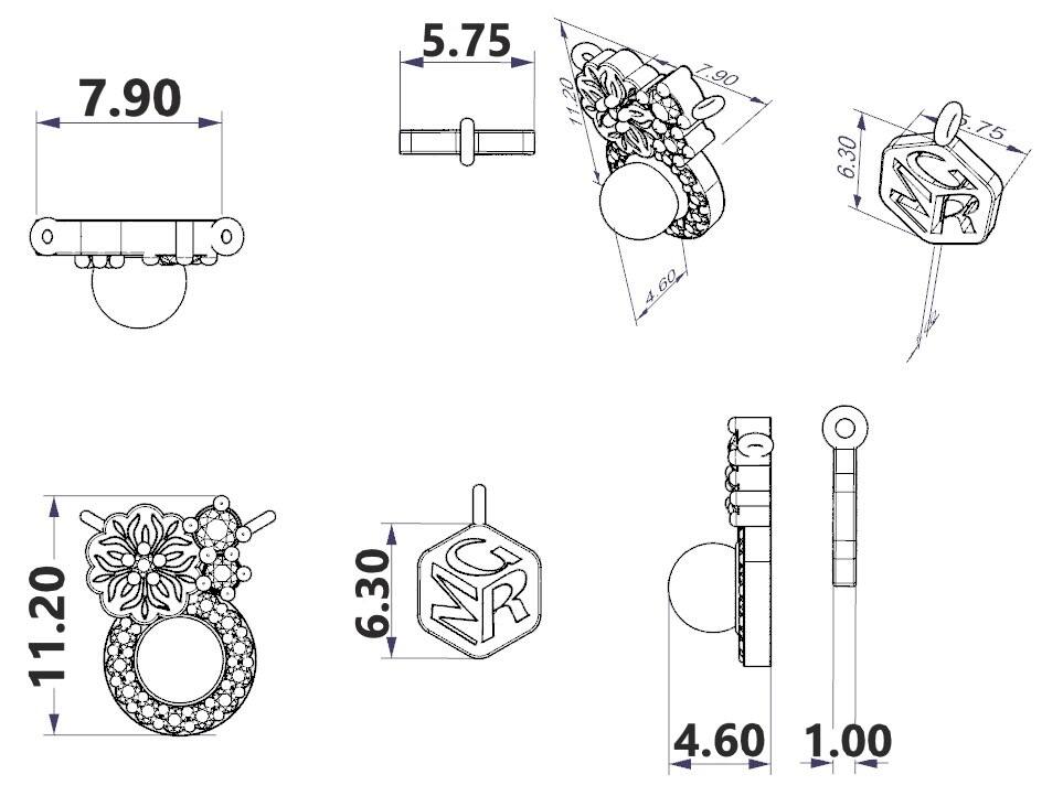 FLRS193
