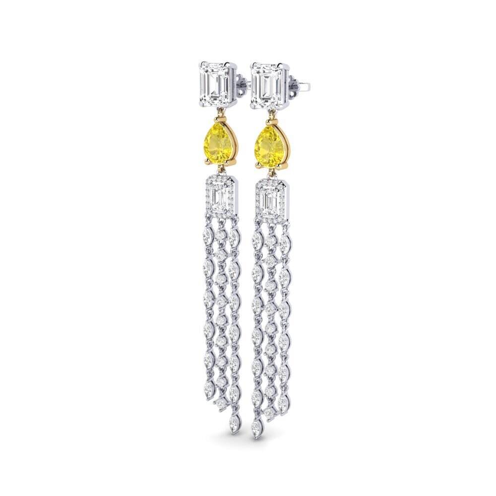 女士耳环 Potvynis